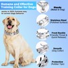JIPIMON Dog Training Collar, Adjustable Stainless Steel Collar with Quick
