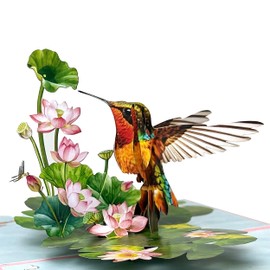 Pop Up Birthday Cards for Women, Hummingbird 3D Birthday Card, Beautiful Hummingbird and Lotus with Koi Fish Design, Pop Up Cards All Occasion for Mother, Mom, Her, Granmother and Daughter, Mothers Day Card