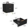 Spaco Black Nightstand Set of 2,Bedside Tables with 2 Drawers