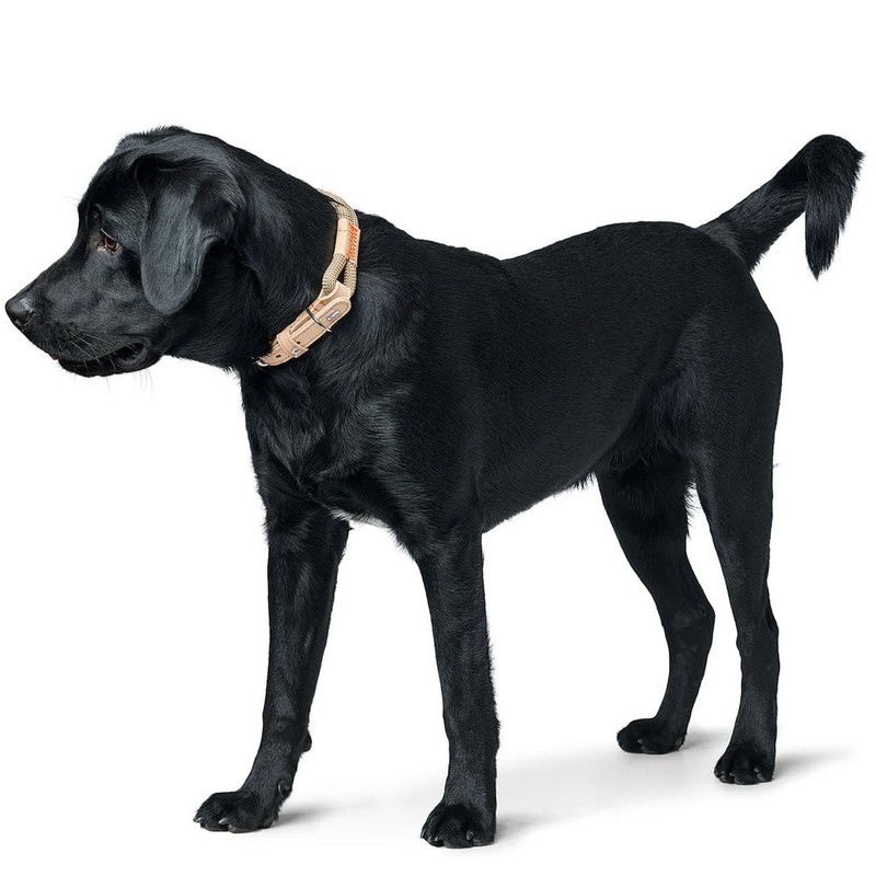HUNTER Malia Dog Collar Colour: Dove Blue/Natural, Made of Soft
