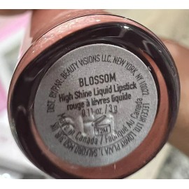 mally Eye&cheek pallette +make up brush + lipstick +mally cosmetic bag 4 Piece S