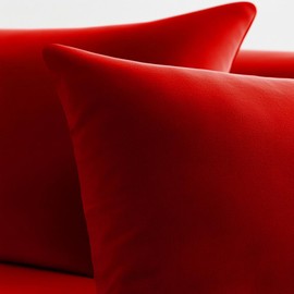 QUORGVES Red Pillow Covers 20x20 Inch Pack of 2 Red Throw Pillows for Couch Living Room Bed Bedroom Soft Velvet Square Throw Pillow Cover 20 x 20 Set of 2