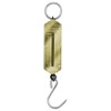 Dönges Pocket Spring Scales Fish Scale in kg/span.lbs, 150 kg,