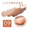 Cezanne Toneup Eye Shadow 09 Brick Brown, 0.09 oz (2.6
