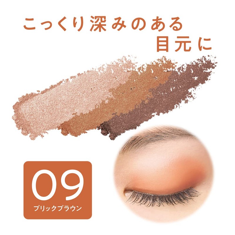 Cezanne Toneup Eye Shadow 09 Brick Brown, 0.09 oz (2.6