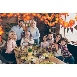 DODUOMI Fall Garland with Lights, Thanksgiving String Lights Fall Leaves Garland 2-Pack, Total 20 Ft & 40 LED Battery Operated Maple Leaves Lights for Christmas Autumn Indoor Outdoor Decorations