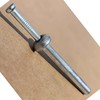 SANTIE 1/4 in. x 1 in. Hammer-Set Nail Drive Concrete