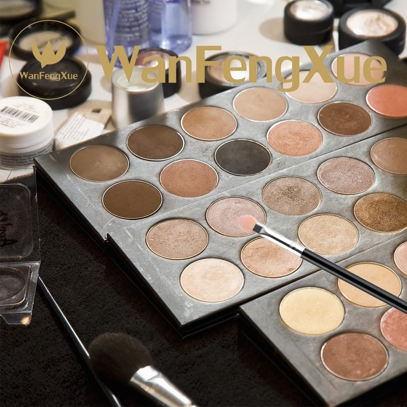 WanFengXue 10 Pcs Eyeshadow Brushes Reusable Portable Eyeshadow Applicators with