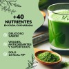 Green Mix Jugo Verde, Matcha, Espirulina, Té Verde, Espinaca, Clorofila,