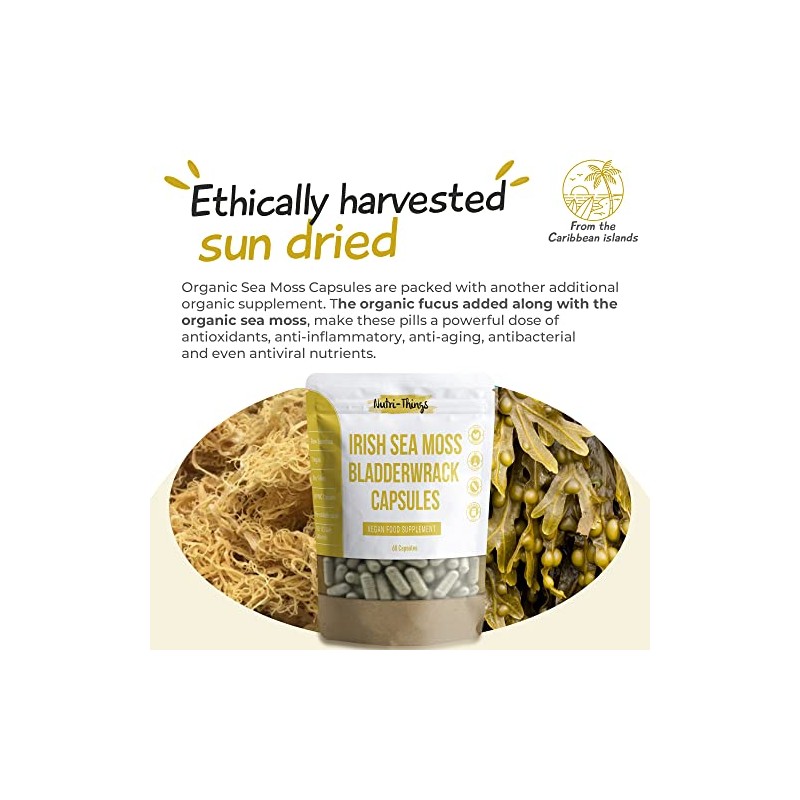 Irish Sea Moss Capsules | Seamoss Herbal Supplements with Bladderwrack