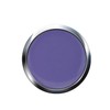 UV/LED Gel Flux Colour High Definition Colour Gel Passiflora 5