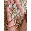 WHOLESALE Natural Semi Tumbled Moonstone Mix Gemstone Chips, Moonstone Mix