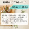 PLUS CARE Blessing Quality Soap (1 Blessing Soap & 1