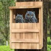 STARSWR Owl House for Outdoors,Screech Nesting Box, Saw Whet Owl