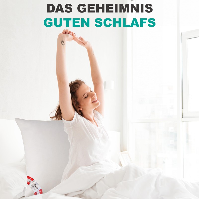 Bach's Betten Welt Down Pillow 5 Star Hotel Cushion 40