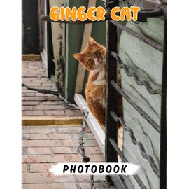 Ginger Cat Photo Book: Photography Book About Cat With 40 Cute Pictures Inside | Gifts For Children And Adults To Relax