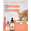 Collagen for Cats - Skin and Coat Supplement - Liquid