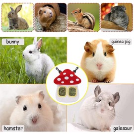 Cilipuloy Hay Bag for Small Animals - Mushroom Shape Hanging Feeder Sack with 2 Holes - Guinea Pig Hay Feeder - 199.9 Cubic Inches - Durable, Waterproof Cloth - 23 x 28 x 5 cm