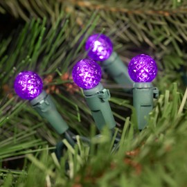 Northlight LED G12 Berry Christmas Lights - 16' Green Wire - Purple - 50 ct