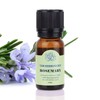 Rosemary Aroma Essential Oil 12ml / 로즈마리 아로마 에센셜 오일 12ml
