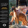 EzyDog Double Up Premium Nylon Dog Collar with Reflective Stitching