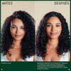 Aveda Nutriplenish Replenishing Overnight Serum Capilar | Hidratane