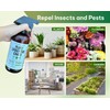 Kate's Garden Plant Spray for Insects & Getting Rid of