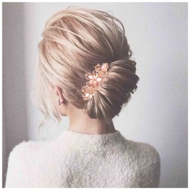 Allereya Crystal Hair Clip Barrette Rhinestone Hair Barrette Hollow Flower Wedding Headpieces Decorative CZ Head Clip Headwear Bride Hair Accessories for Women and Girls Gifts (Champagne)