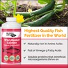 Bloom City Organic Wild Fish Fertilizer and Plant Supplement, Great