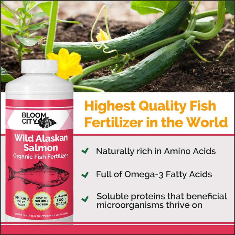 Bloom City Organic Wild Fish Fertilizer and Plant Supplement, Great