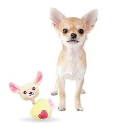 Pet London Chihuahua Character Tiny Dog Toy - Teacup Breed Plush Squeaky Dog Toy For Long & Short Hair Chihuahua Puppy & Adults (Lola (Yellow))