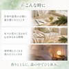 Roll-on Aroma Forest Drop