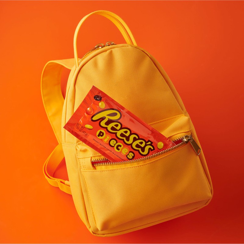 REESE'S PIECES Peanut Butter in a Crunchy Shell, Candy Bags,