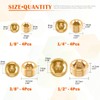 Rustak 6 Pcs 3/4" Brass Pipe Plugs, NPT Brass Pipe