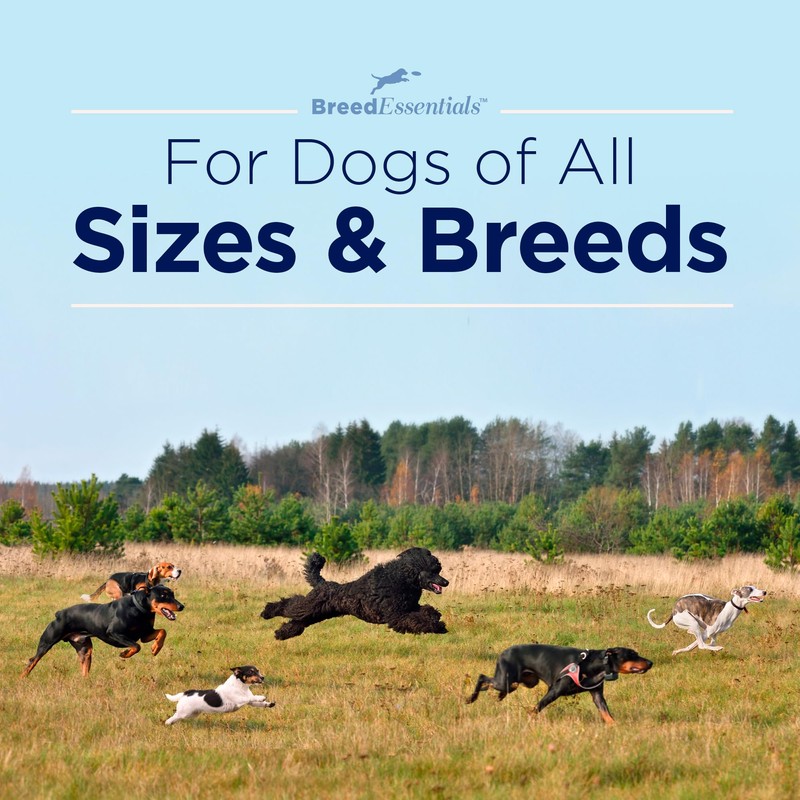 Breed Essentials Chicken Chips 5.5 oz - Cavalier King Charles