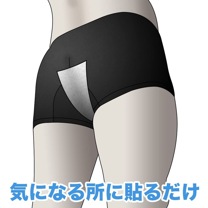 Deovie Deodorizing Sheet, Made in Japan, Deodorizing Sheet, Deovie (Pack