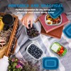EFISH 10PCS Rectangle Plastic Portion Box Sets with Lids.Food Storage