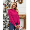 Luranee Womens Long Sleeve Tunic Tops Turtle Neck Sweater Light