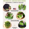 15 Tactiko Rapid Growth Microgreens & Vegetable Seed Kit –