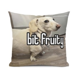 HAPPBIRTH Dog Meme Funny Throw Pillow Case,for Daughter, Son Gifts, Dorm Room Accessories Graduation Party, Decorative Cushion Cover for Sofa Couch Bed 18x18inches