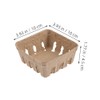 Alipis Pulp Fiber Berry Baskets 10Pcs Berry Boxes Picking Fruit
