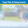 Raid Window Fly Trap, 4 Count (Pack of 3)