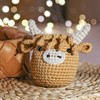 CrochetBox Complete Crochet Kit for Beginners, Scottish Highland Cow Crochet