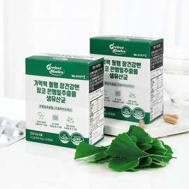 Memory, Blood Circulation, Ginkgo, Ginkgo Leaf Extract, Live Lactic Acid Bacteria, Flavonol Glycosides, Probiotics, Intestinal Health, 6 Boxes, Total 180 Capsules / 기억력혈행 징코 은행잎추출물 생유산균 플라보놀배당체 프로바이오틱스 장건강 6박스 총180캡슐