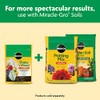 Miracle-Gro Miracle-Gro Shake 'N Feed All Purpose Plant Food, For