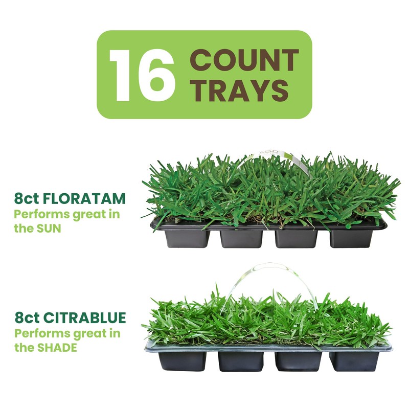 SodPods® St. Augustine Sun/Shade Pack, Floratam & CitraBlue Grass Plugs