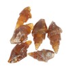Kisangel Science Classroom Specimen 6pcs Agate Snail Models Educational Ancient