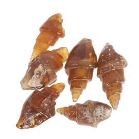 Kisangel Science Classroom Specimen 6pcs Agate Snail Models Educational Ancient Specimen Geology Teaching