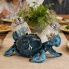 Crab Kitchen Accessories Decorative Salt And Pepper Shakers Set For