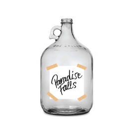 UP Inspired PARADISE FALLS Adventure Honeymoon Fund | Label Sign | Printed Waterproof Die-cut Sticker